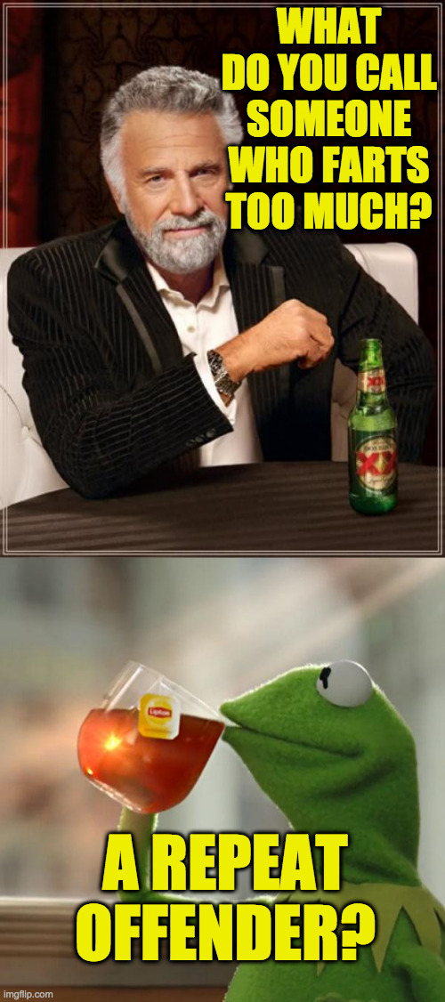 This is probably very old but I've never heard it before. | WHAT DO YOU CALL SOMEONE WHO FARTS TOO MUCH? A REPEAT OFFENDER? | image tagged in memes,the most interesting man in the world,but that's none of my business,farting | made w/ Imgflip meme maker