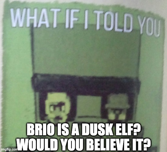 i used the format to | BRIO IS A DUSK ELF?
WOULD YOU BELIEVE IT? | image tagged in what if i told you brio | made w/ Imgflip meme maker