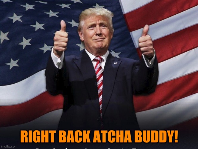 Donald Trump Thumbs Up | RIGHT BACK ATCHA BUDDY! | image tagged in donald trump thumbs up | made w/ Imgflip meme maker