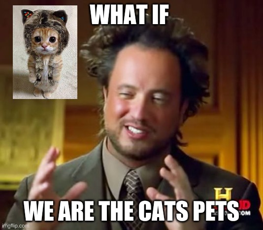 Ancient Aliens Meme | WHAT IF; WE ARE THE CATS PETS | image tagged in memes,ancient aliens | made w/ Imgflip meme maker