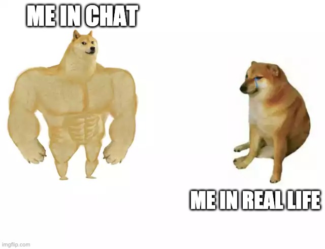 true story | ME IN CHAT; ME IN REAL LIFE | image tagged in buff doge vs cheems | made w/ Imgflip meme maker