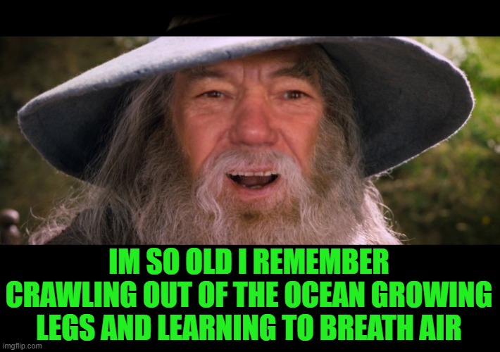 IM SO OLD I REMEMBER CRAWLING OUT OF THE OCEAN GROWING LEGS AND LEARNING TO BREATH AIR | image tagged in lewdalf | made w/ Imgflip meme maker