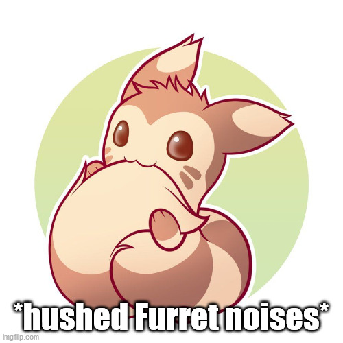 *hushed Furret noises* | made w/ Imgflip meme maker