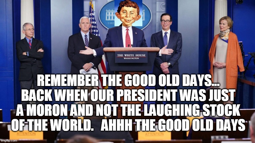 coronavirus, what me worry? i'm too stupid to worry...where by bunkie? | REMEMBER THE GOOD OLD DAYS...
BACK WHEN OUR PRESIDENT WAS JUST A MORON AND NOT THE LAUGHING STOCK OF THE WORLD.   AHHH THE GOOD OLD DAYS | image tagged in coronavirus task force | made w/ Imgflip meme maker