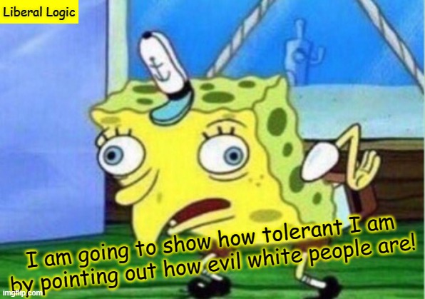 Bless Their Hearts! | Liberal Logic; I am going to show how tolerant I am by pointing out how evil white people are! | image tagged in memes,mocking spongebob,minneapolis,black lives matter | made w/ Imgflip meme maker