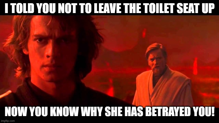 So That's Why It Happened | I TOLD YOU NOT TO LEAVE THE TOILET SEAT UP; NOW YOU KNOW WHY SHE HAS BETRAYED YOU! | image tagged in star wars liberal meme | made w/ Imgflip meme maker