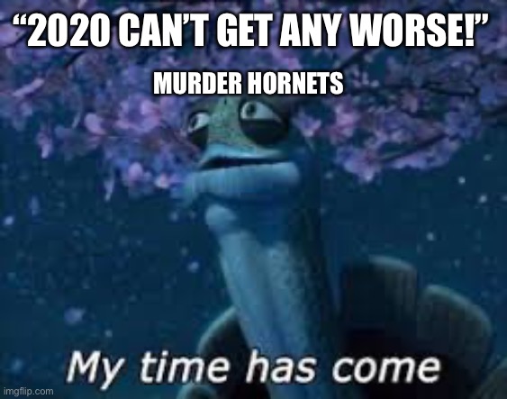 Why God why! | “2020 CAN’T GET ANY WORSE!”; MURDER HORNETS | image tagged in why,2020 | made w/ Imgflip meme maker