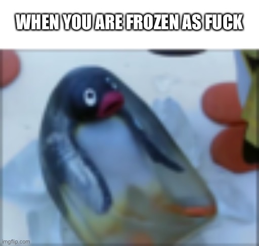 he do be vibin | WHEN YOU ARE FROZEN AS FUCK | image tagged in memes,pingu,penguins,penguin | made w/ Imgflip meme maker