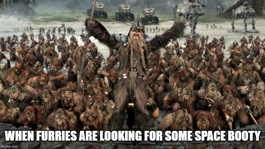 Horny Wookies | WHEN FURRIES ARE LOOKING FOR SOME SPACE BOOTY | image tagged in star wars wookiee war | made w/ Imgflip meme maker