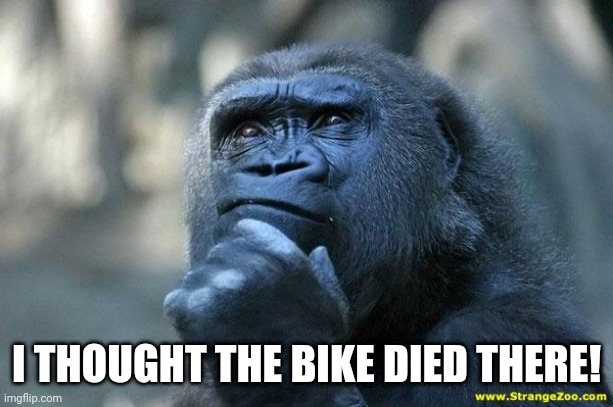Deep Thoughts | I THOUGHT THE BIKE DIED THERE! | image tagged in deep thoughts | made w/ Imgflip meme maker