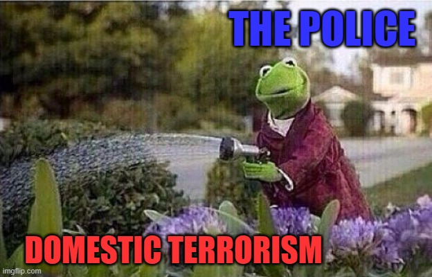 This is America | THE POLICE; DOMESTIC TERRORISM | image tagged in kermit watering plants,police brutality,police,protest,terrorism | made w/ Imgflip meme maker