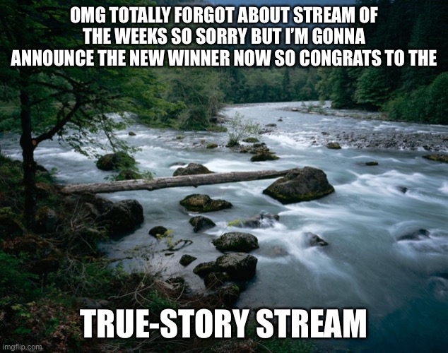 Winner number 2 | OMG TOTALLY FORGOT ABOUT STREAM OF THE WEEKS SO SORRY BUT I’M GONNA ANNOUNCE THE NEW WINNER NOW SO CONGRATS TO THE; TRUE-STORY STREAM | image tagged in river | made w/ Imgflip meme maker