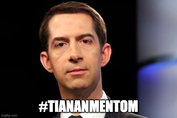 #TIANANMENTOM | image tagged in tom cotton,tiananmen squre,tiananmen tom | made w/ Imgflip meme maker