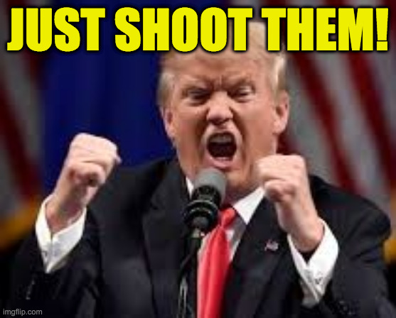 Trump angry punch | JUST SHOOT THEM! | image tagged in trump angry punch | made w/ Imgflip meme maker