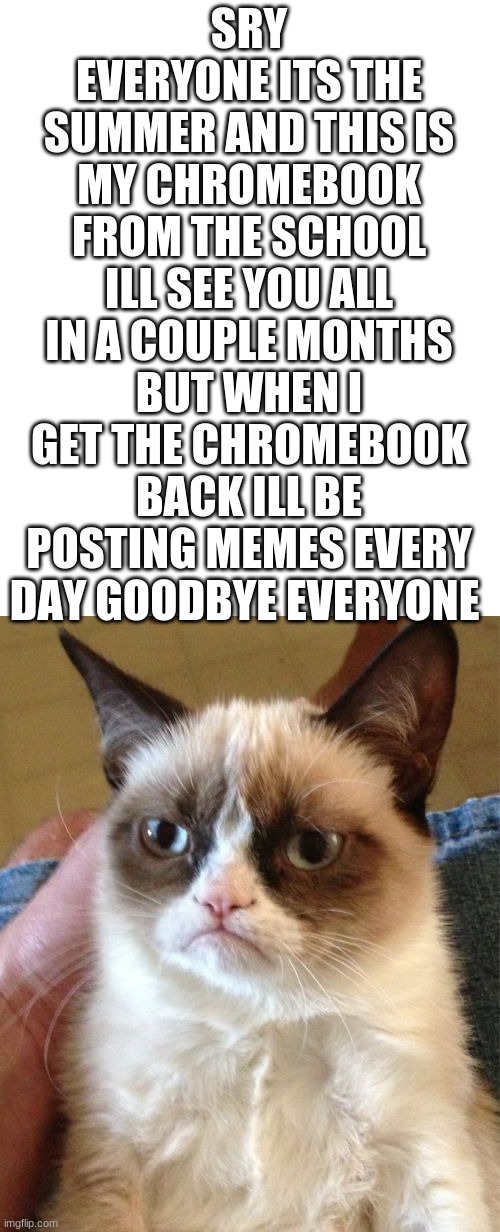 goodbye everyone | SRY EVERYONE ITS THE SUMMER AND THIS IS MY CHROMEBOOK FROM THE SCHOOL ILL SEE YOU ALL IN A COUPLE MONTHS BUT WHEN I GET THE CHROMEBOOK BACK ILL BE POSTING MEMES EVERY DAY GOODBYE EVERYONE | image tagged in memes,grumpy cat | made w/ Imgflip meme maker