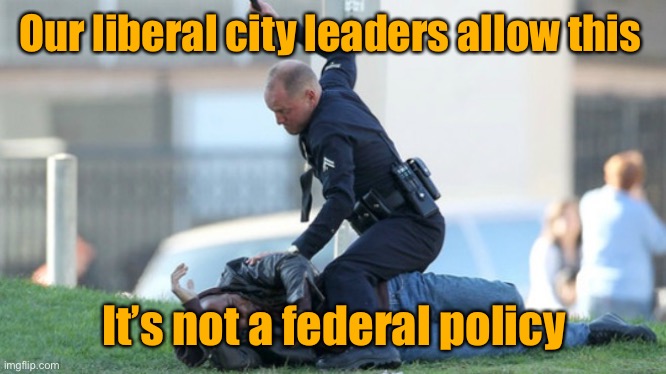 Cop Beating | Our liberal city leaders allow this It’s not a federal policy | image tagged in cop beating | made w/ Imgflip meme maker