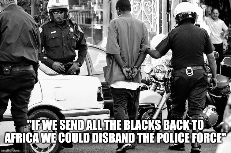 blacks | "IF WE SEND ALL THE BLACKS BACK TO AFRICA WE COULD DISBAND THE POLICE FORCE" | image tagged in police brutality | made w/ Imgflip meme maker