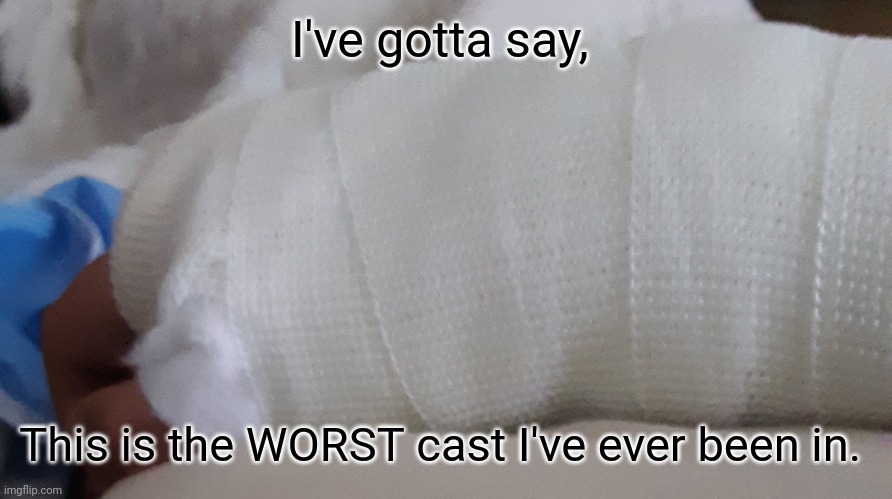 I've gotta say, This is the WORST cast I've ever been in. | made w/ Imgflip meme maker