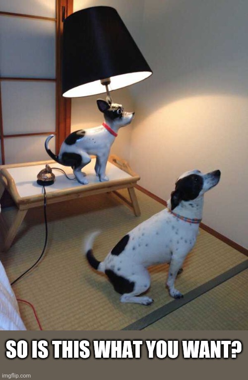 DOGGIE IS GONNA COPY THE STATUE | SO IS THIS WHAT YOU WANT? | image tagged in dogs | made w/ Imgflip meme maker
