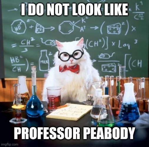 Chemistry Cat | I DO NOT LOOK LIKE; PROFESSOR PEABODY | image tagged in memes,chemistry cat | made w/ Imgflip meme maker