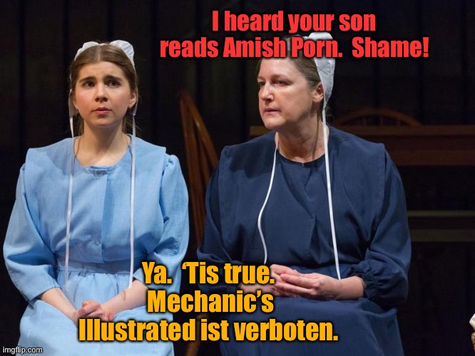 Amish Porn is best | I heard your son reads Amish Porn.  Shame! Ya.  ‘Tis true.  Mechanic’s Illustrated ist verboten. | image tagged in amish,porn,mechanics illustrated,funny memes | made w/ Imgflip meme maker
