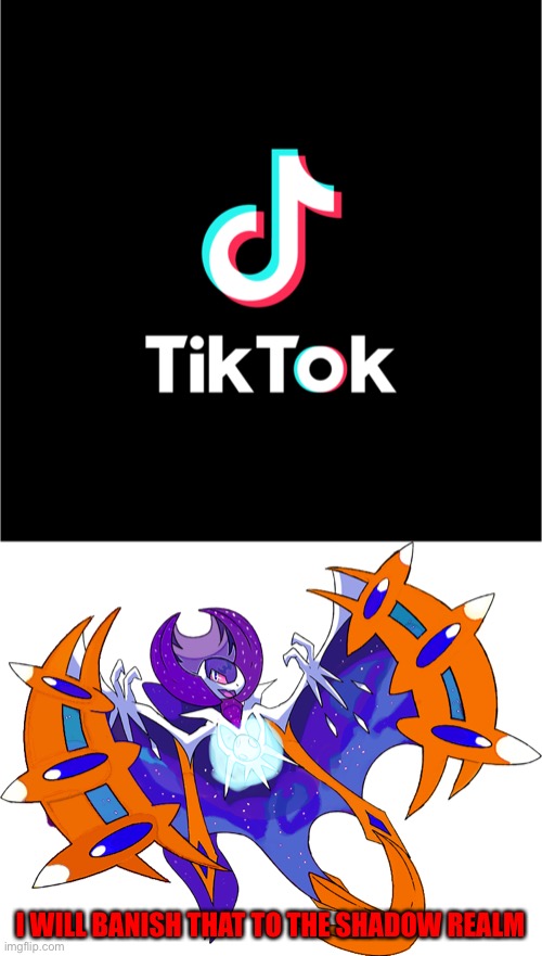 TIK-TOK HAS BEEN BANISHED TO THE SHADOW REALM | I WILL BANISH THAT TO THE SHADOW REALM | image tagged in tiktok logo | made w/ Imgflip meme maker