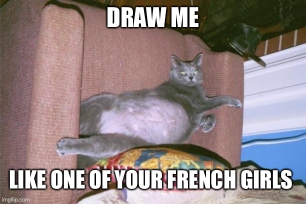 French kitty | DRAW ME; LIKE ONE OF YOUR FRENCH GIRLS | image tagged in cat,titanic | made w/ Imgflip meme maker