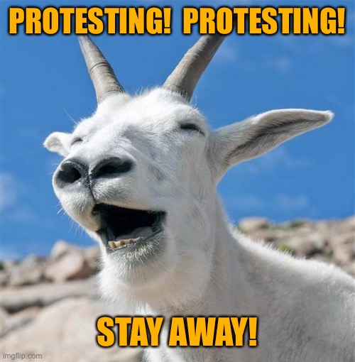 Laughing Goat Meme | PROTESTING!  PROTESTING! STAY AWAY! | image tagged in memes,laughing goat | made w/ Imgflip meme maker