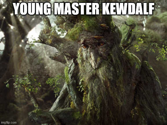 Treebeard | YOUNG MASTER KEWDALF | image tagged in treebeard | made w/ Imgflip meme maker