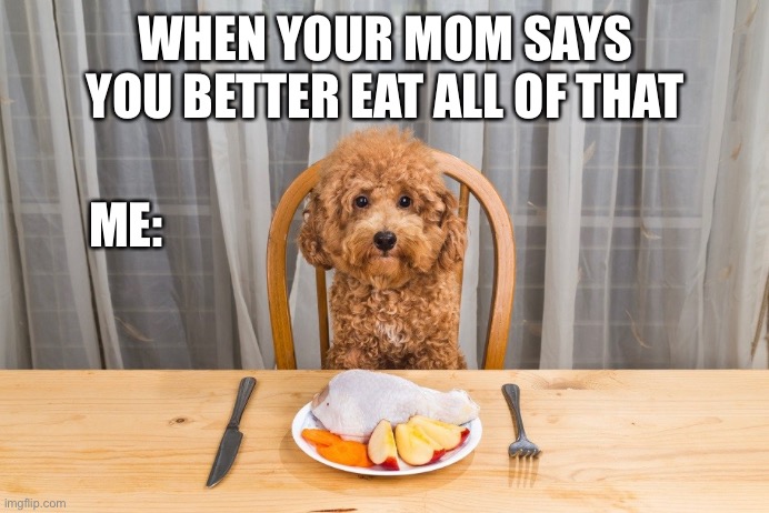 WHEN YOUR MOM SAYS YOU BETTER EAT ALL OF THAT; ME: | image tagged in dog,funny | made w/ Imgflip meme maker