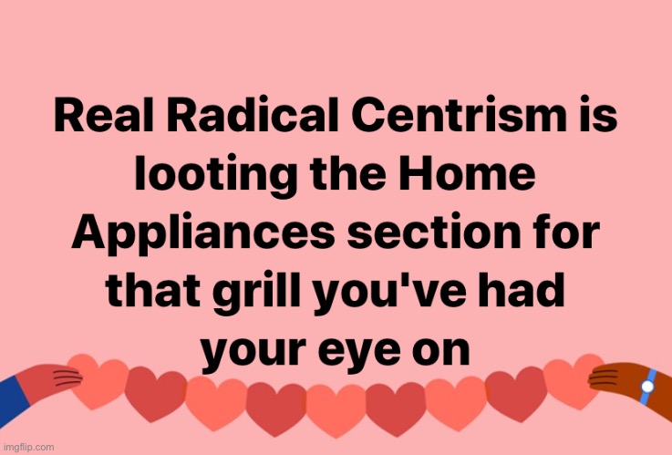 Not necessarily black but I fucking love this lol | image tagged in real radical centrism,radical,political,politics lol,political humor,looting | made w/ Imgflip meme maker