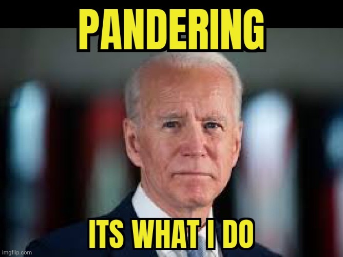 JOE CUCK | image tagged in joe biden,election 2020 | made w/ Imgflip meme maker