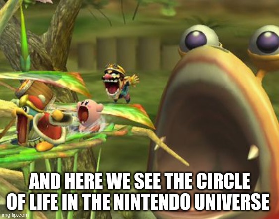 the circle of life (nintendo) | AND HERE WE SEE THE CIRCLE OF LIFE IN THE NINTENDO UNIVERSE | image tagged in memes,nintendo,super smash bros,circle of life | made w/ Imgflip meme maker