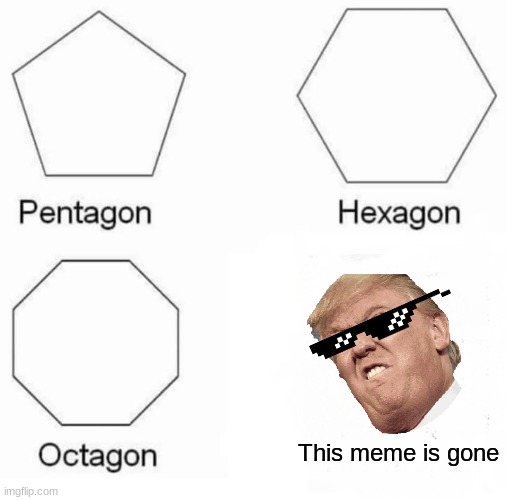Why did you have to go dead mlg trump (hello sexy fans check out our other channel hobo bros) | This meme is gone | image tagged in memes,pentagon hexagon octagon | made w/ Imgflip meme maker