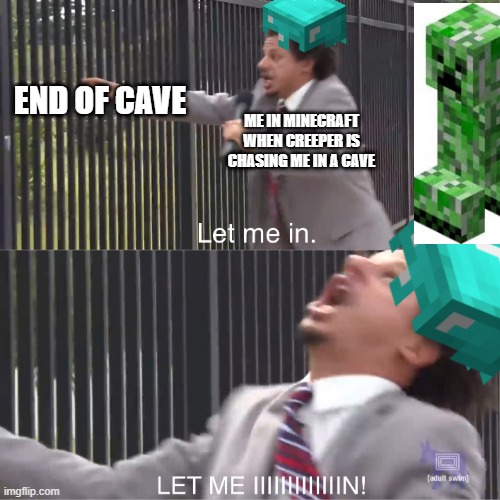 END OF CAVE; ME IN MINECRAFT WHEN CREEPER IS CHASING ME IN A CAVE | image tagged in let me in | made w/ Imgflip meme maker