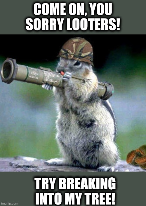Bazooka Squirrel | COME ON, YOU SORRY LOOTERS! TRY BREAKING INTO MY TREE! | image tagged in memes,bazooka squirrel | made w/ Imgflip meme maker