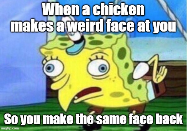 Mocking Spongebob | When a chicken makes a weird face at you; So you make the same face back | image tagged in memes,mocking spongebob | made w/ Imgflip meme maker