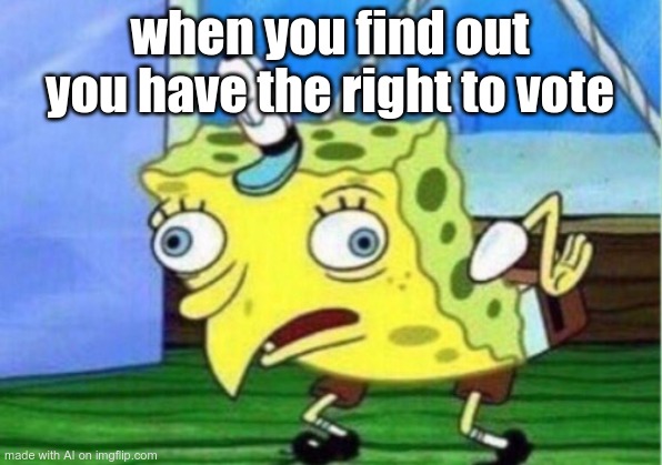 When you realise you have the right to vote | when you find out you have the right to vote | image tagged in memes,mocking spongebob | made w/ Imgflip meme maker