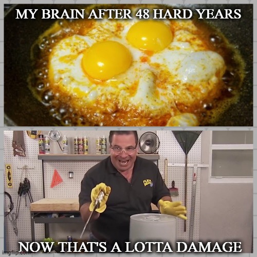 MY BRAIN AFTER 48 HARD YEARS; NOW THAT'S A LOTTA DAMAGE | image tagged in funny meme | made w/ Imgflip meme maker