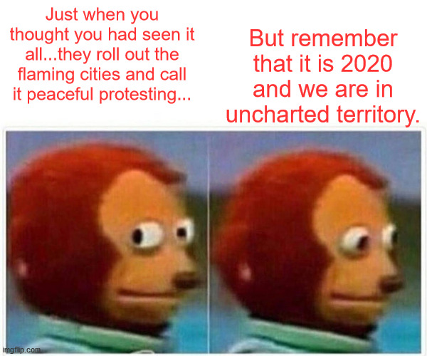 Monkey Puppet | Just when you thought you had seen it all...they roll out the flaming cities and call it peaceful protesting... But remember that it is 2020 and we are in uncharted territory. | image tagged in memes,monkey puppet | made w/ Imgflip meme maker