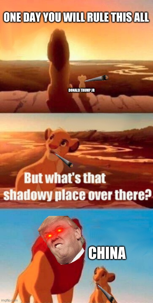 Simba Shadowy Place | ONE DAY YOU WILL RULE THIS ALL; DONALD TRUMP JR; CHINA | image tagged in memes,simba shadowy place | made w/ Imgflip meme maker