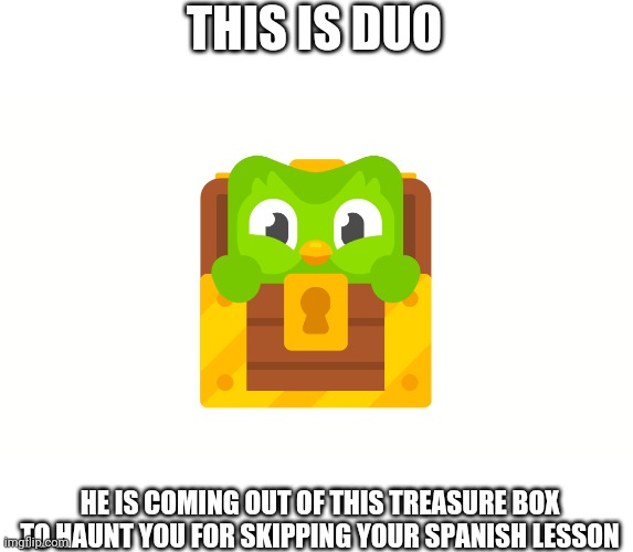 This is Duo | THIS IS DUO; HE IS COMING OUT OF THIS TREASURE BOX TO HAUNT YOU FOR SKIPPING YOUR SPANISH LESSON | image tagged in duolingo bird,memes | made w/ Imgflip meme maker