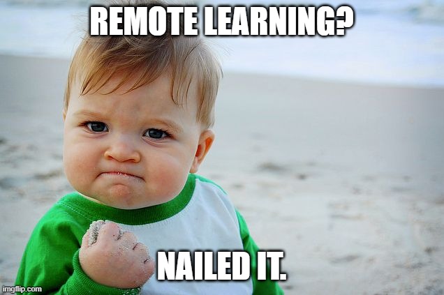Remote Learning, elearning, nailed it | REMOTE LEARNING? NAILED IT. | image tagged in success kid / nailed it kid | made w/ Imgflip meme maker