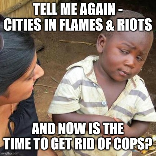 Cop defunding | TELL ME AGAIN - CITIES IN FLAMES & RIOTS; AND NOW IS THE TIME TO GET RID OF COPS? | image tagged in memes,third world skeptical kid | made w/ Imgflip meme maker