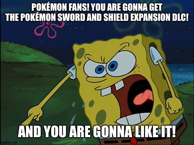 YOU ARE GONNA LIKE IT! | POKÉMON FANS! YOU ARE GONNA GET THE POKÉMON SWORD AND SHIELD EXPANSION DLC! AND YOU ARE GONNA LIKE IT! | image tagged in you are gonna like it | made w/ Imgflip meme maker