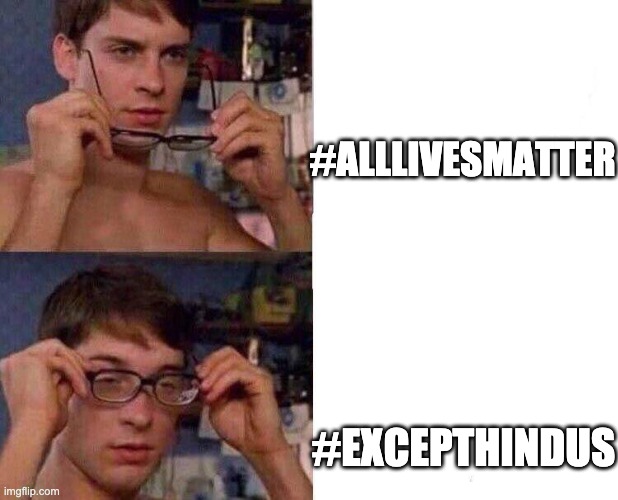 Hindu lives matters too | #ALLLIVESMATTER; #EXCEPTHINDUS | image tagged in spiderman glasses | made w/ Imgflip meme maker