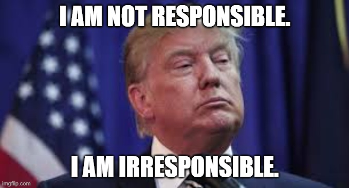 Irresponsible Trump | I AM NOT RESPONSIBLE. I AM IRRESPONSIBLE. | image tagged in donald trump | made w/ Imgflip meme maker