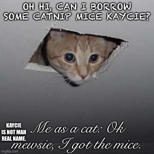 Ceiling Cat Meme | OH HI, CAN I BORROW SOME CATNIP MICE KAYCIE? Me as a cat: Ok mewsie, I got the mice. KAYCIE IS NOT MAH REAL NAME. | image tagged in memes,ceiling cat | made w/ Imgflip meme maker