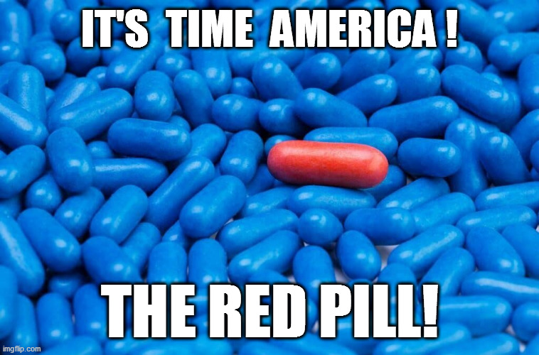 The election is about six months away...time for some 'woke' homework! | IT'S  TIME  AMERICA ! THE RED PILL! | image tagged in redpilledamerica,walkaway | made w/ Imgflip meme maker