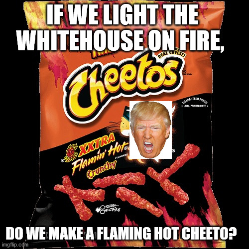 burn bunker boy | IF WE LIGHT THE WHITEHOUSE ON FIRE, DO WE MAKE A FLAMING HOT CHEETO? | image tagged in flamin hot cheetos | made w/ Imgflip meme maker